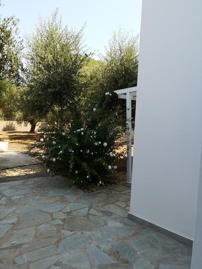 Villa Leonidas Masztihári Kültér fotó
